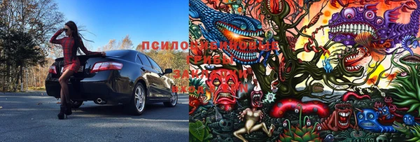 мет Гусиноозёрск