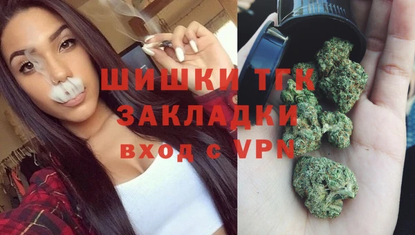 гидра Дмитров