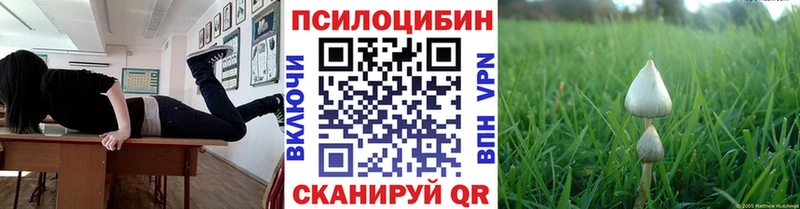 Галлюциногенные грибы Psilocybe  Купить  Арск 